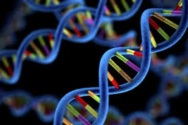 Realising the preventative power of genetic information